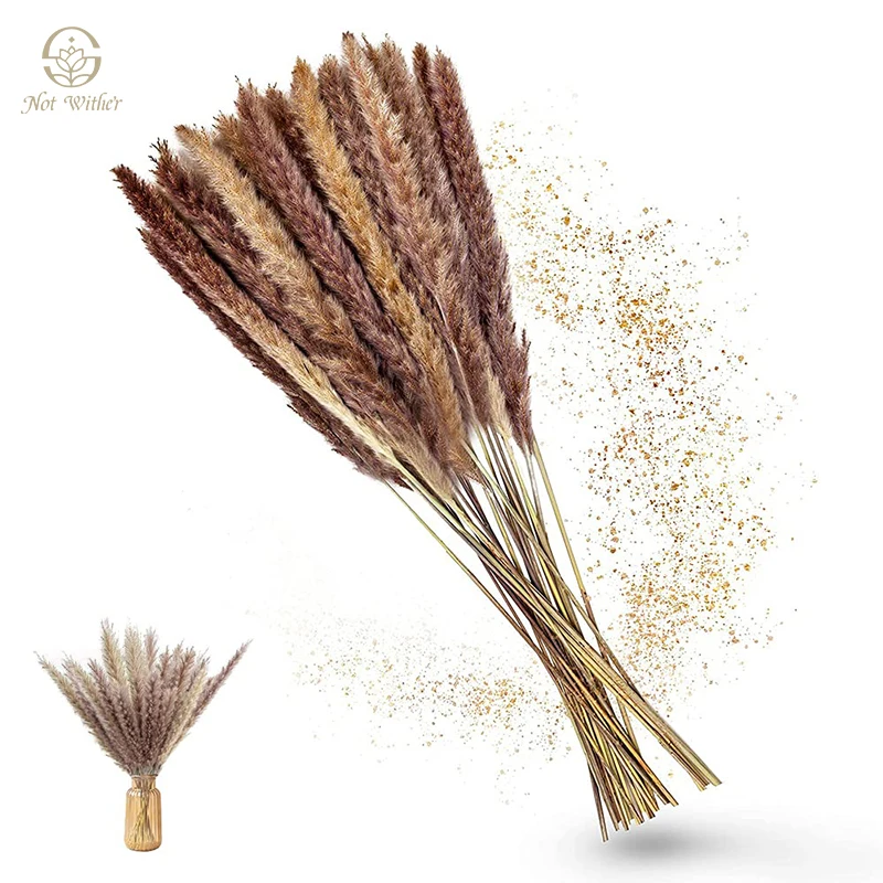 

Natural Pampas Grass Decor Dried Flower Wedding Party Supplies Flower Arrangement Photography Props Artificial Flower Decoration