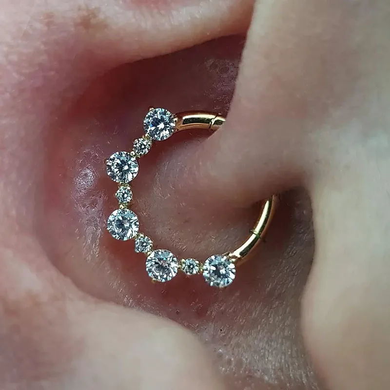 ASTM F-136 Titanium EAR Nose Ring PIERC CZ Surround Segment Ring  Hoop Face Hinged Clicker Labret Ear wheel Cartilage Piercing