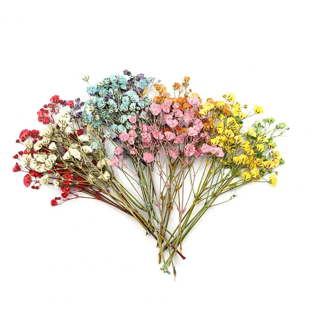Dried Gypsophila Everlasting Real Touch Lightweight Dried Real Touch Babysbreath Flowers Baby Breath Flowers Exquisite