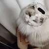 Breathable Cat Face Mask - Anti-Bite & Anti-Lick Round Pet Headgear for Grooming Bathing & Shedding ABS Material Claw Protector 3