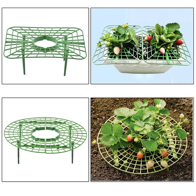 1 Db Négyzet Alakú Kerek Műanyag Eperállvány Erkélyen Termeszt Zöldségeket Gyümölcsmászó Pillér Kertészeti Konzol Tartó Tartók