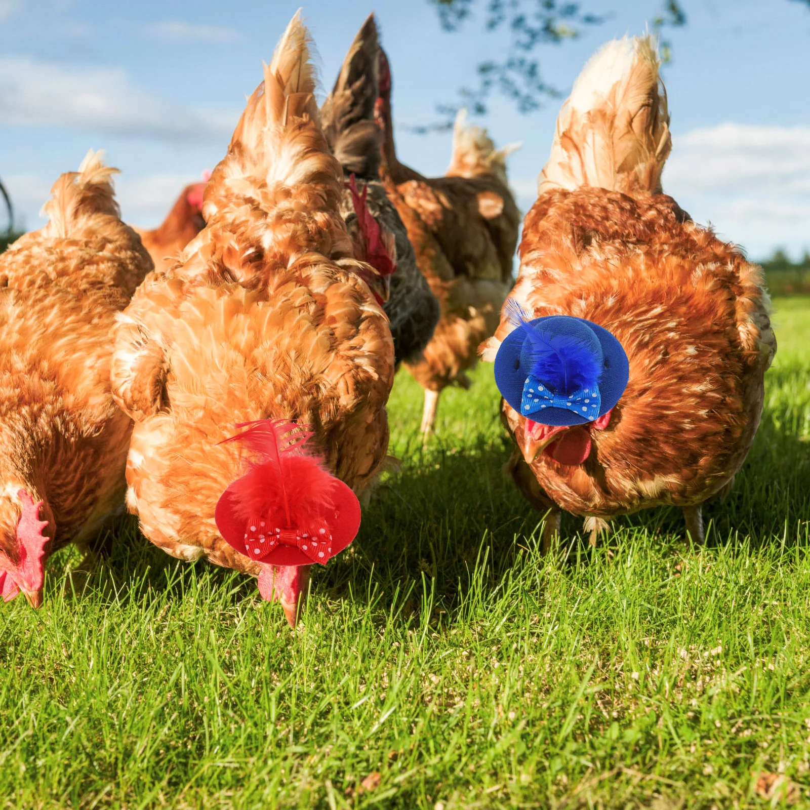 

2 Pcs Small Animal Hat Decorative Hen Hats For Chickens Strap Portable Cloth Mini Has