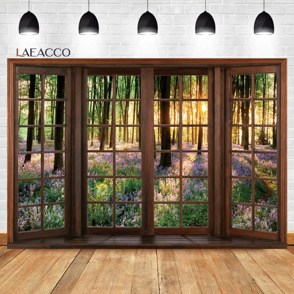 Laeacco- â ǳ  ,  â    ڿ   ʻȭ 