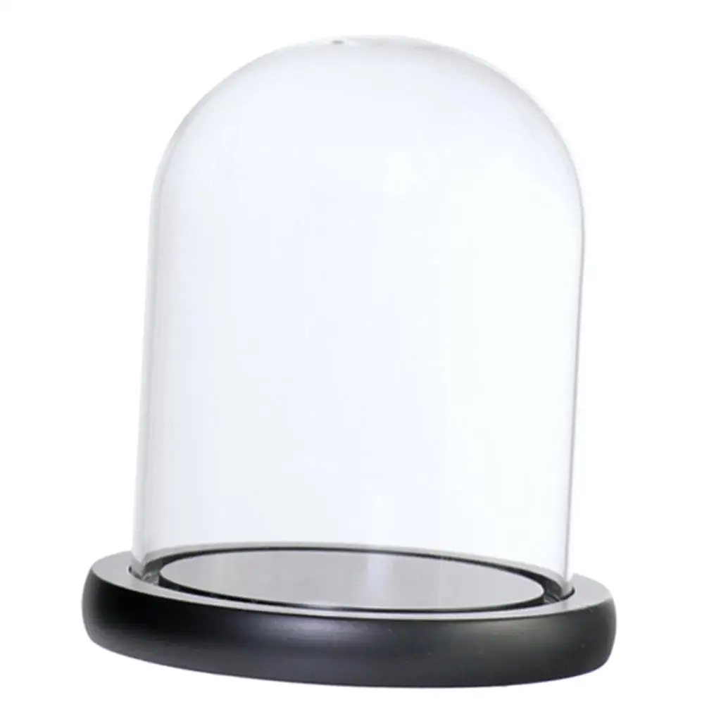 Elegant Glass Display Dome with Base for DIY Home Decor and Pinterest-Inspired Room Ideas