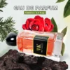 WK JALY Divine Floral Woody Eau De Parfum Spray, With Notes Of Rose, Jasmine, Long-Lasting Fragrance, Women's Perfume, 100ml