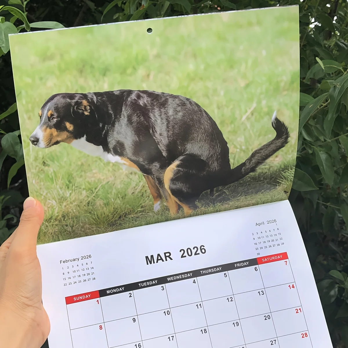 2026 Pooping Dogs Calendar Hangable Creative Daily Weekly Monthly Planner Agenda Schedule Organizer for Home Decor Wall Calendar