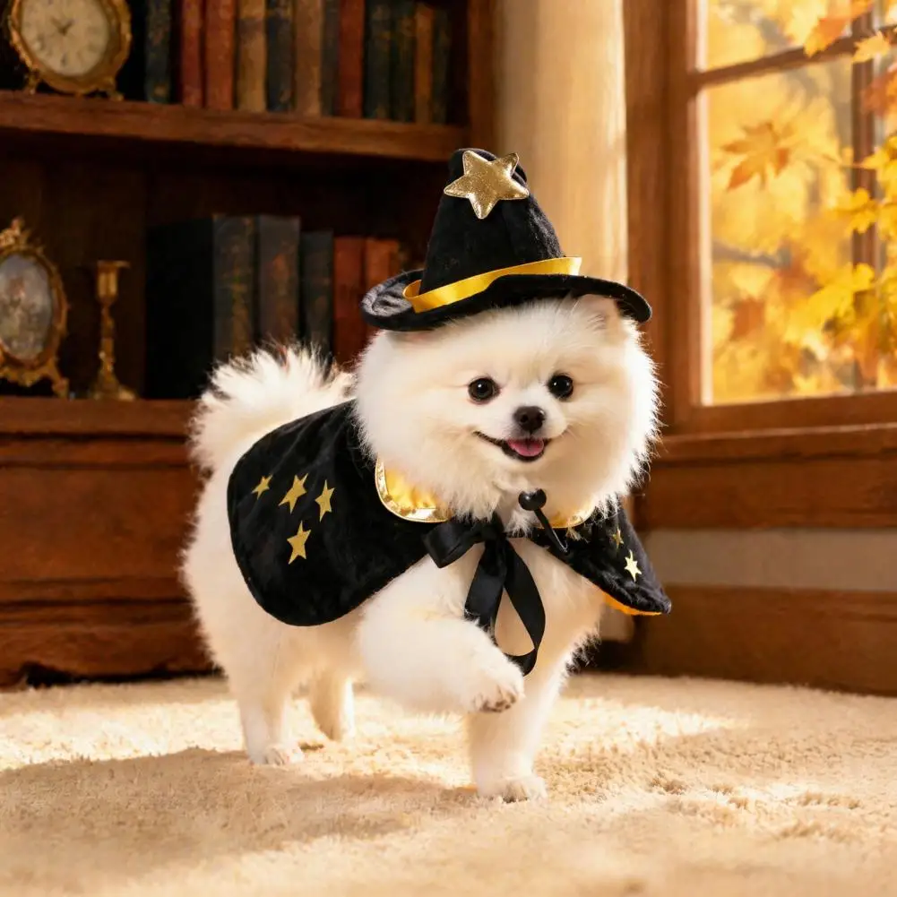 고양이 코스튬 할로윈 고양이 마녀 의상 세트 블랙 문 스타 망토 뾰족한 모자 축제 애완 동물 의상 소형견 고양이 할로윈