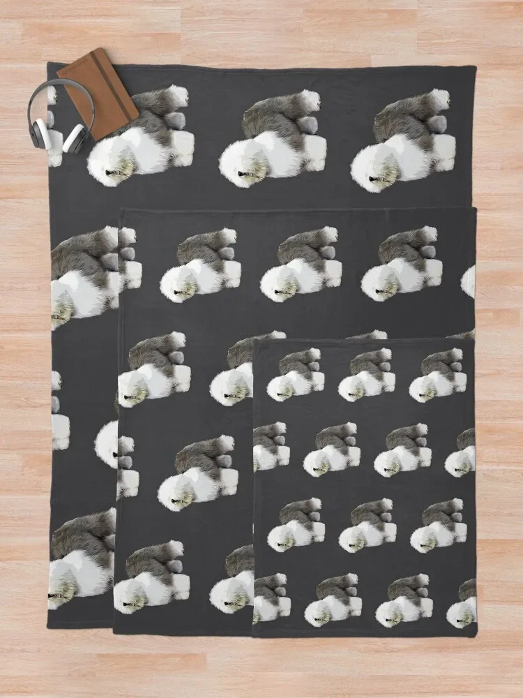 �õ� �ױ۸��� �絶 ��Ƽ ���ο� ���, ���Ÿ� ���� �̺�, ���Ÿ� ����Ʈ ���