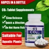 CO2 Tablet Carbon Dioxide Diffuser for Water Plant Grass Fish Aquarium  Landscape Design Carbon Dioxide Diffuser Water Plant 2