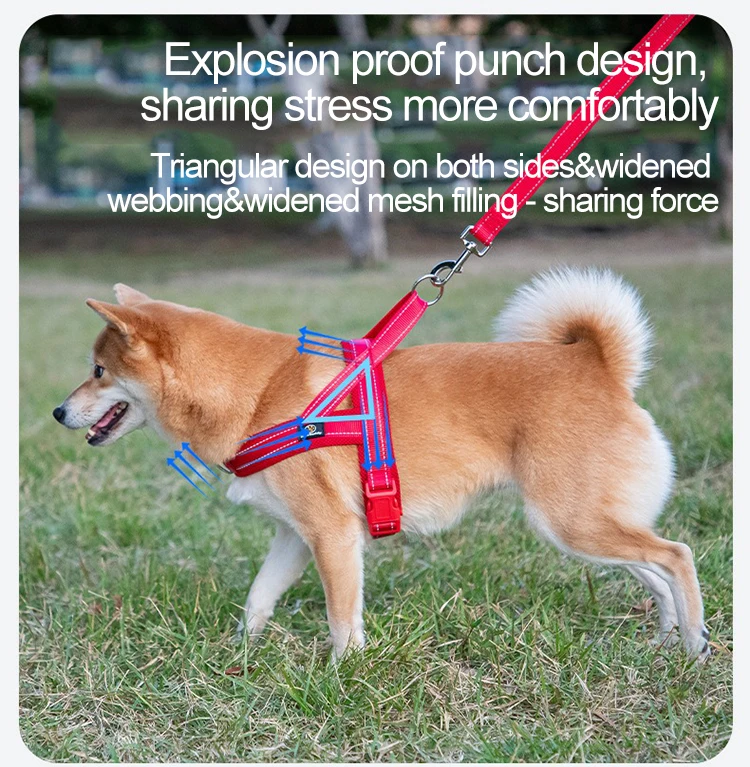 Adjustable Nylon Dog Harness For Small Breeds Chest Vest_voghion.com