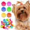 50PCS  Dog Hair Accessories Hair Clips for Small Dogs Colorful Cute Crown Hairpin for Dog Girls Pet Hair Grooming Dog Supplies 1