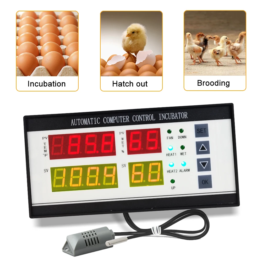 Eggs Incubator Controller Clear Definition Digital Display Temperature