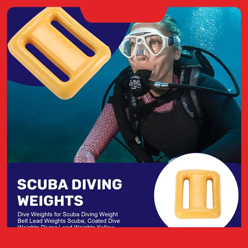 Shell Diving Weights S4a6d291c15494cab9646ce09a5e9ffefe.jpeg