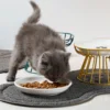 Whisker-Friendly Cat Bowl Wide Cat Wet Feeding Bowl Antitipping Ceramic Food Bowl with Stand for Kitten Puppy Food Water Feeding 2