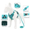 Cat Harness and Leash Set Escape Proof Reflective Outdoor Walking Kitten Vest Chest Strap For Dogs Cats Breathable Pet Harnesses 3