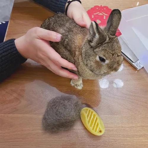 애완 동물 세탁기 개 고양이 마사지 브러시 빗 청소기 강아지 워시 도구 부드러운 부드러운 실리콘 Bristles 신속하게 청소 브러쉬 도구 2