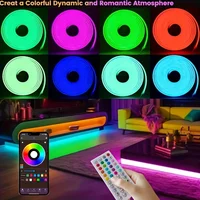 Bande lumineuse LED néon 24V RGB, 5m, 10m, 20m, 30m, application Bluetooth, 24 touches, 44 touches, télécommande, synchronisation de la musique, Kit d'alimentation, 60LED, décor étanche 2