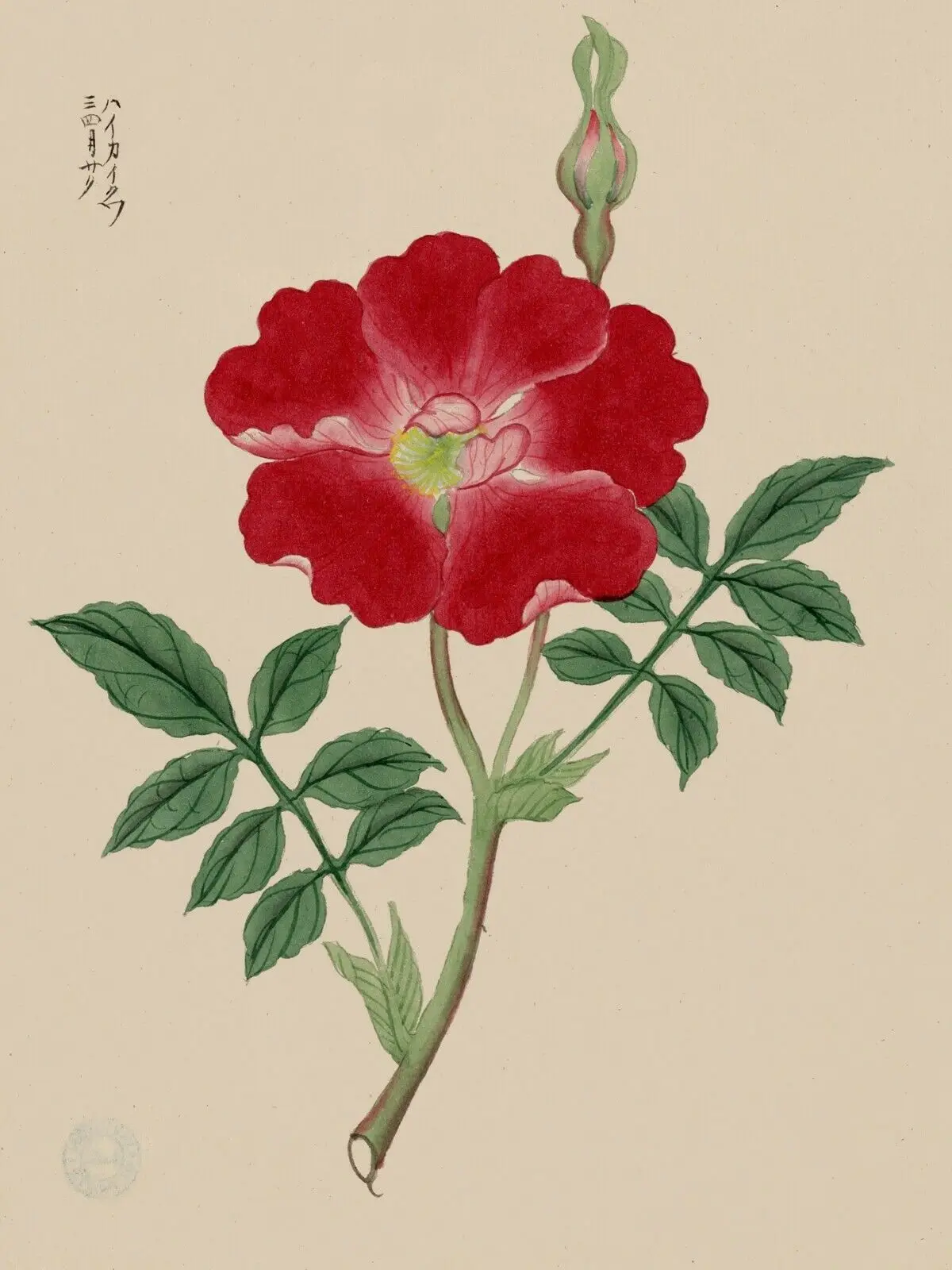 

Japanese flower Art Picture Print Silk Poster Home Wall Decor