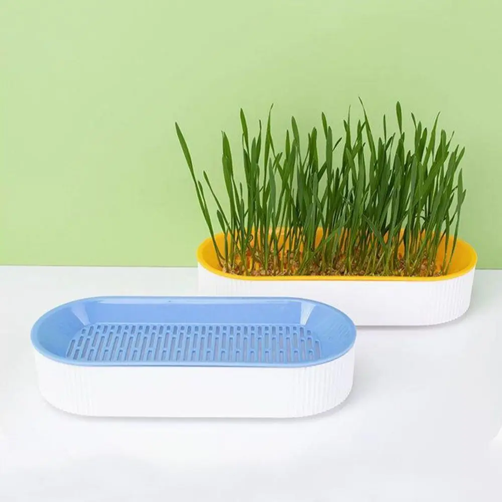 수경 식물 고양이 잔디 발아 분해 스타터 접시, 온실 재배 상자, 애완 동물 고양이 새싹 접시, 1PC 