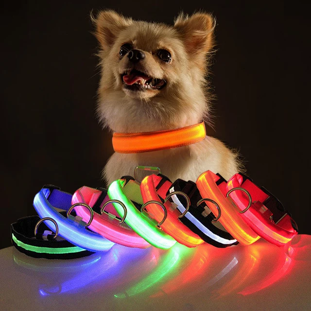 USB Charging LED Dog Collar iLovPets.com