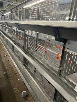 Chicken Cage Poultry Cage Large Intelligent Automatic Feeding Automatic Egg Collection with Egg Collection System 4