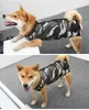 Surgery Recovery Suit Anti Licking Wounds Pet Care Clothes After Surgery Clothes Pet Supplies For Dog Pet Accessories WWO66 6