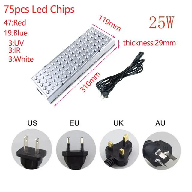25W