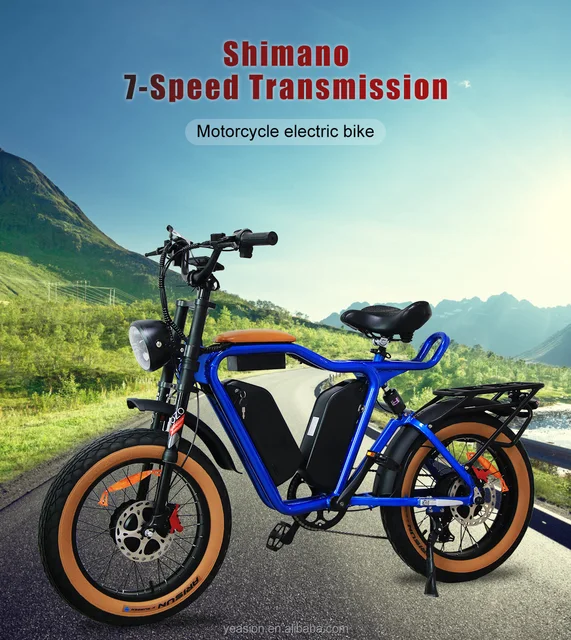 Dual Bafang Motors 48v 1000w 22ah*2 2000w Electric Bike Bicicleta