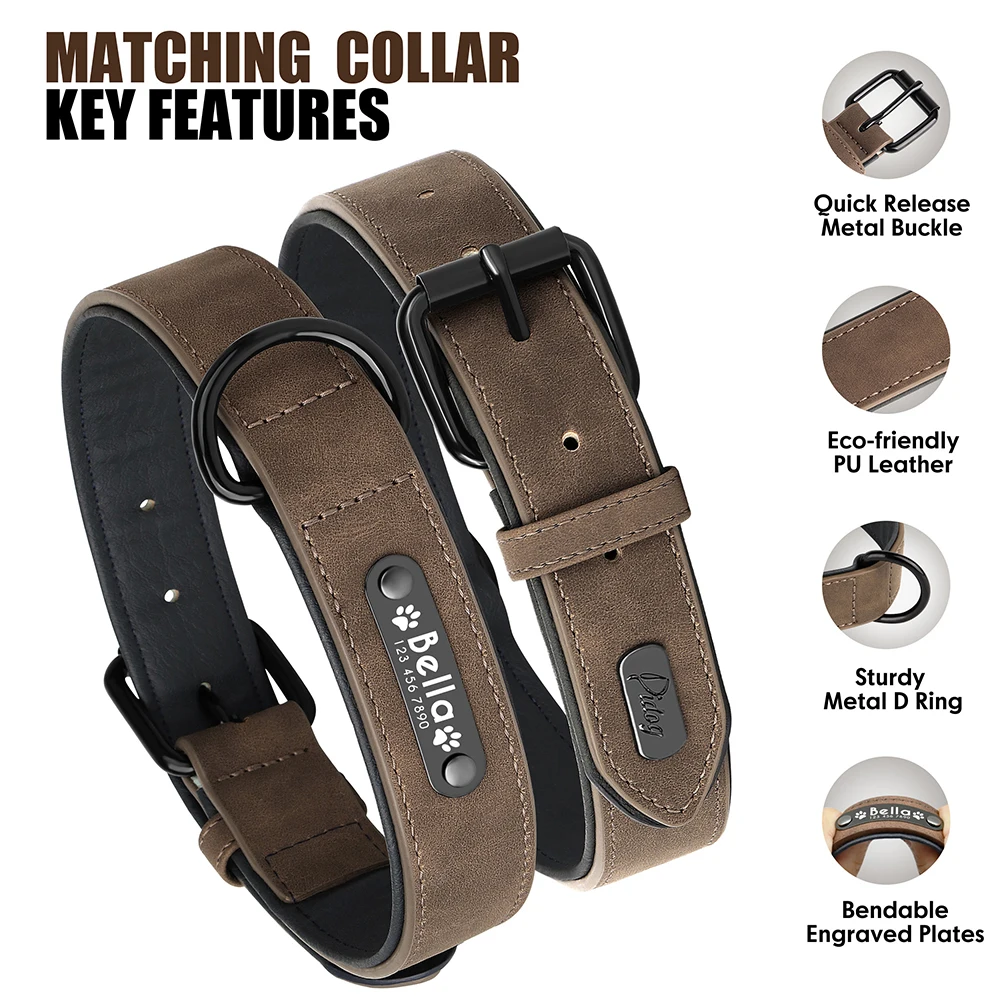 Custom Leather Dog Collar & Leash Set 2