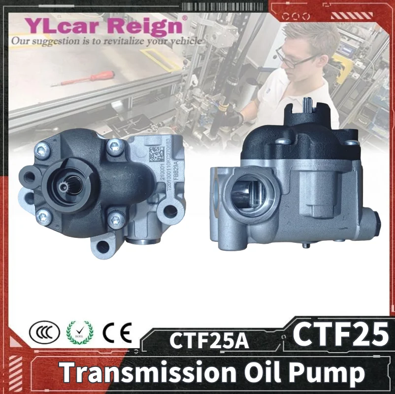 ブセファランドラType2 from sintang kayulapis ブセファランドラType2 from sintang kayulapis