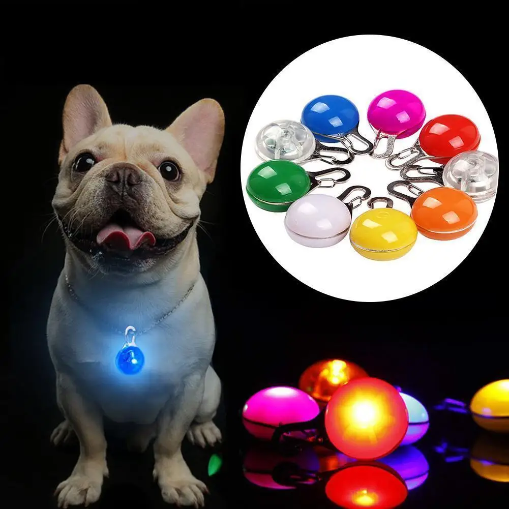 LED Glow Dog Collar 1
