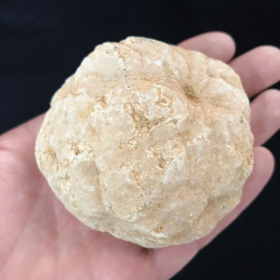 Natural Geode Crystal Quartz Educational Gemstone Collection