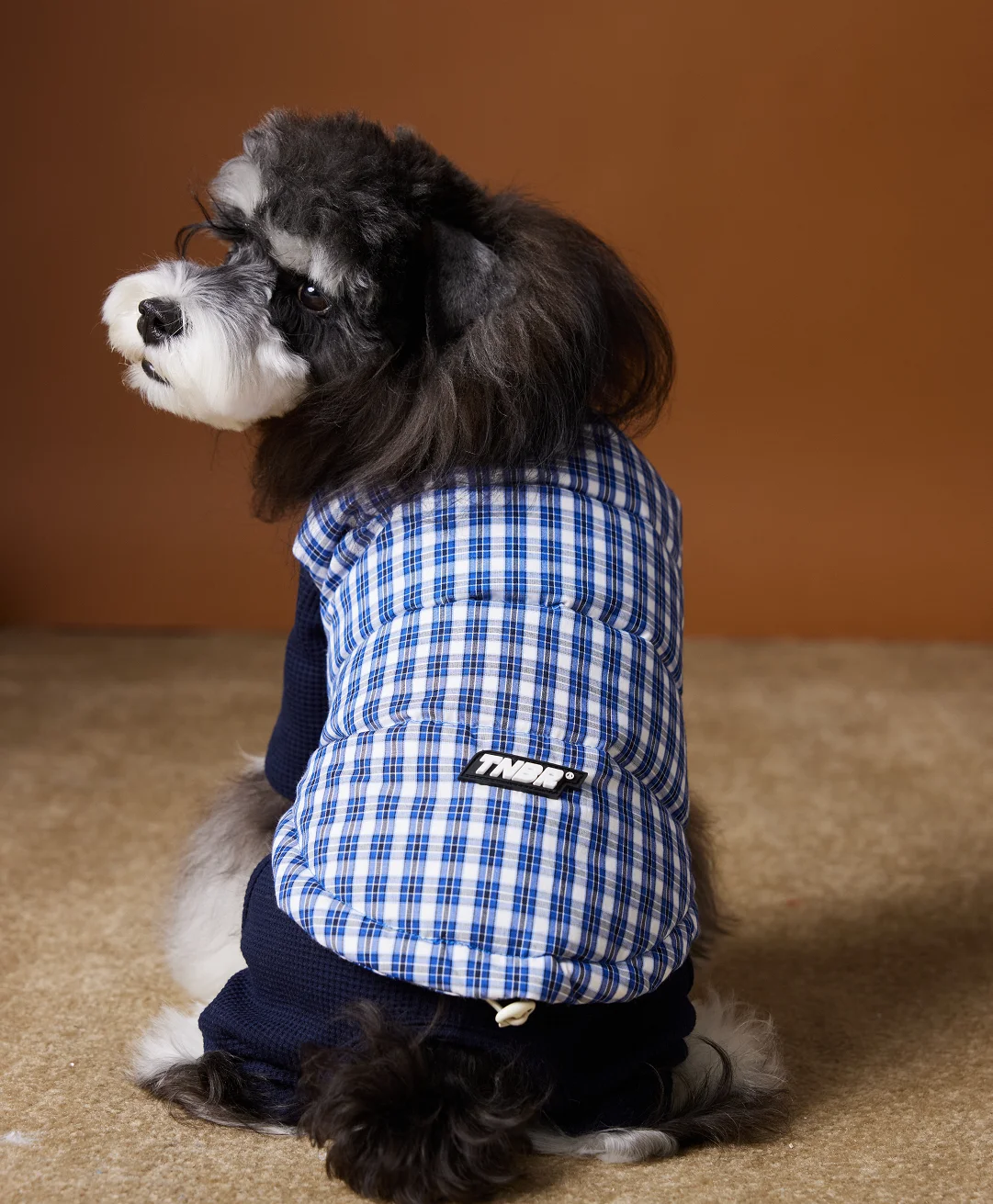 Padded Puppy Cat Clothes With D Rings Winter Warm Dog Jacket for Small Dogs Chihuahua Vest French Bulldog Coat Yorkie Outfits