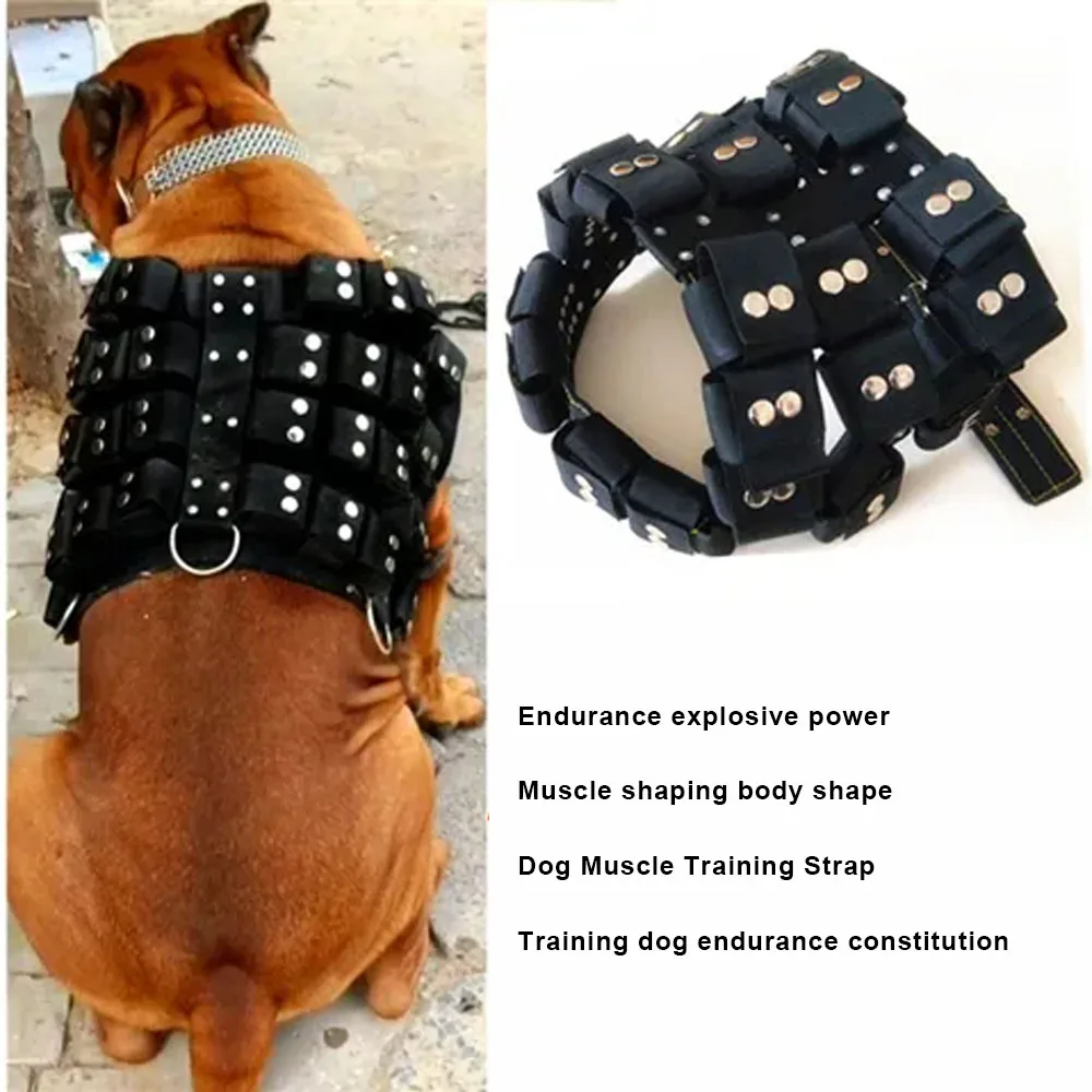 S-XL For Large Medium Small Dogs Empty Shell Weight Carrying Strap