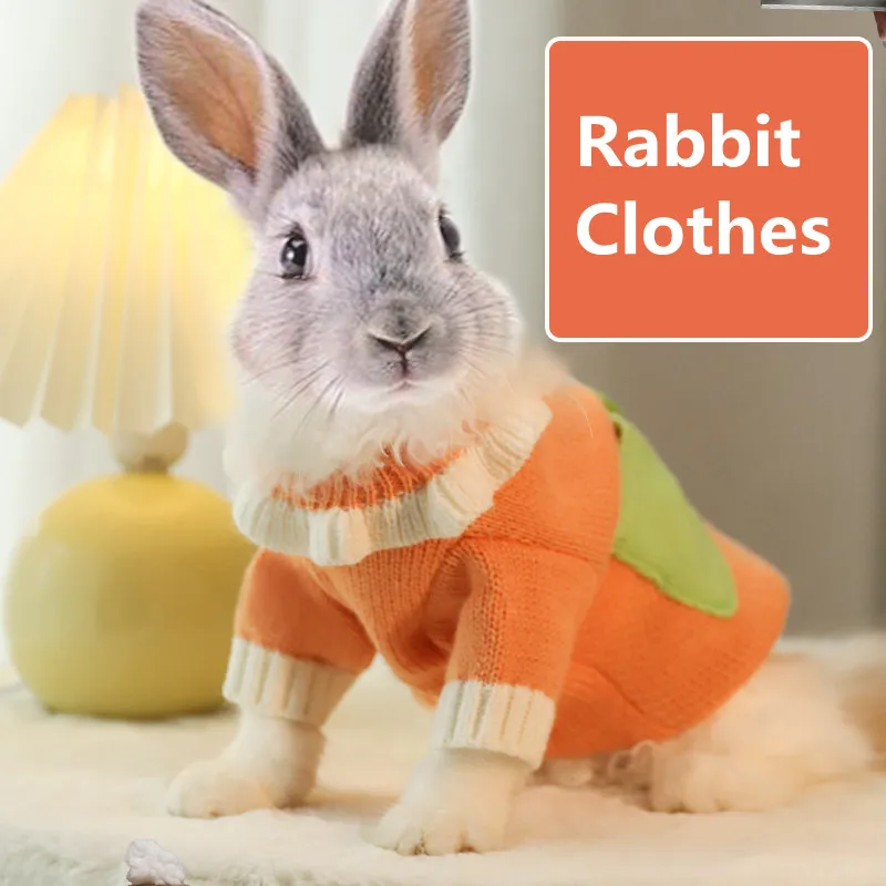 persoonlijkheid veiligheid fantoom Herfst En Winter Konijn Kleding Warm Rabbit Trui Dwerg Konijn Lop Oren  Konijn Kleren Accessoires Bunny Levert - AliExpress