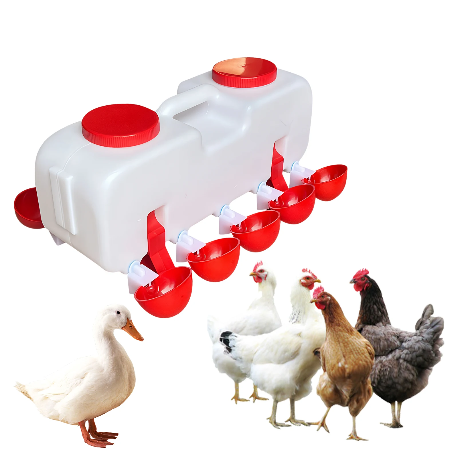 10KG Self Filling Automatic Chicken Waterer with 10 Cup Poultry Dispenser Waterer Chicken Waterer Feeder for Pigeon Duck Goose