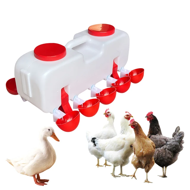 10KG Self Filling Automatic Chicken Waterer with 10 Cup Poultry Dispenser Waterer Chicken Waterer Feeder for Pigeon Duck Goose