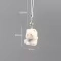 Cat 5