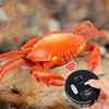 Control Toy for Children RC Remote Control  Novelty Tortoise Ants  Spiders Crabs Model Kids Boys Girl Electronic Gift 6