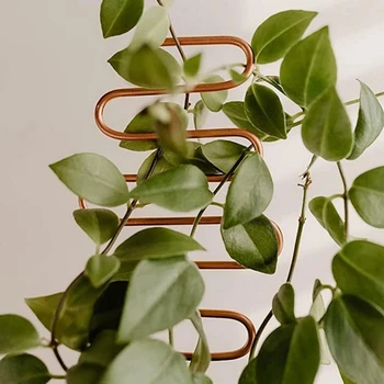 Plant Climbing Rack Plant Trellis Garden Plant Support Stake Stand Metal Vine Growth Flower Rattan Climbing Rack Garden Supplies