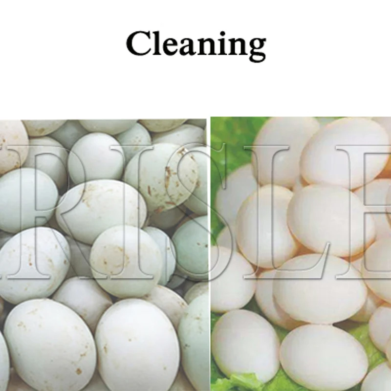 https://ae01.alicdn.com/kf/S4a93ae41c8264aa8ba6fb8275a3b15a6R/Hen-Egg-Wash-Cleaning-Machine-Duck-Egg-Cleaning-Machine-Chicken-Egg-Washer.jpg