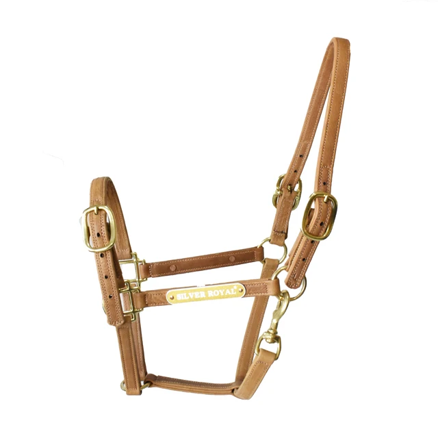 Horse Halters Horse Equipment Double Layer Leather Brass Fittings Halter 4