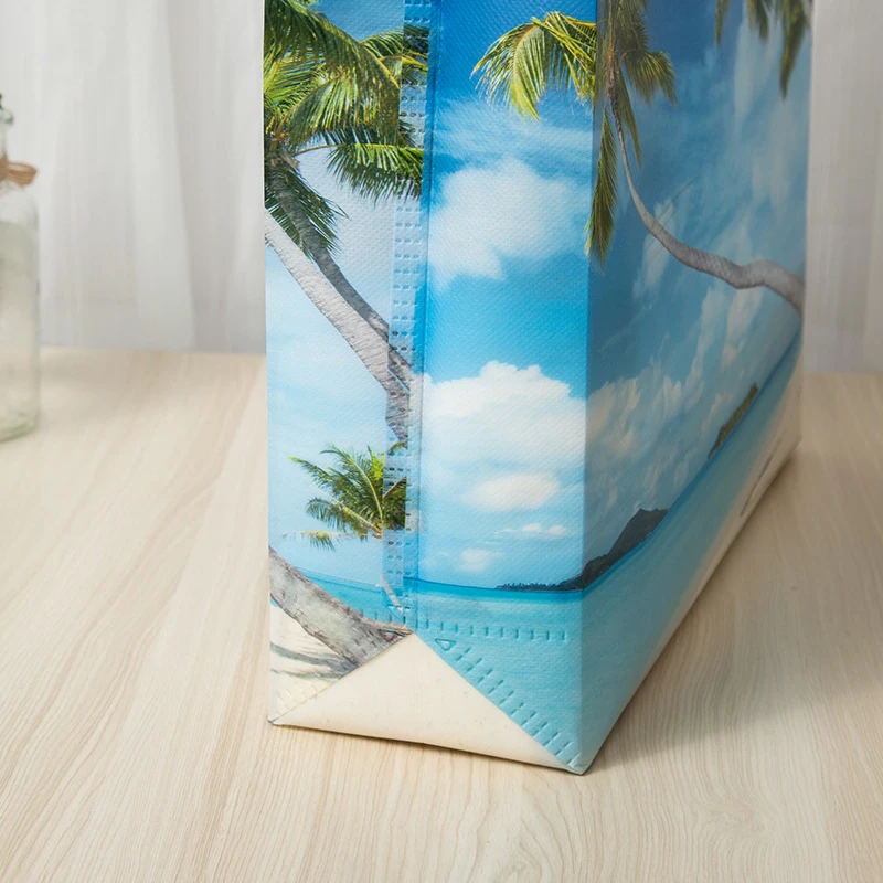 Coconut Nonwoven Shopping Bag Large Reusable Storage Bag Tote Waterproof Fabric Nonwoven Wholesale Foldable Shopping Bag 6