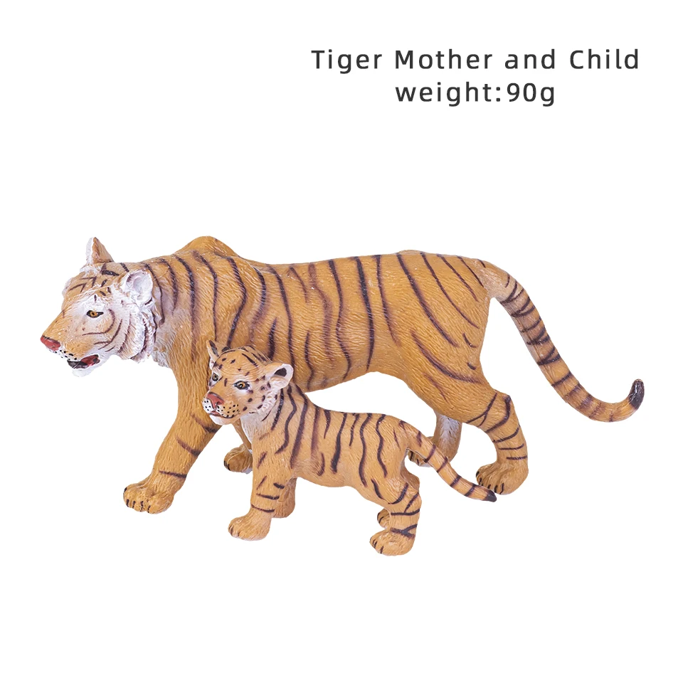 Tiger Mom and son1