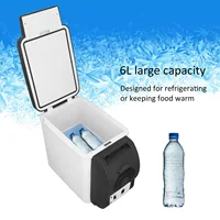 Réfrigérateur cosmétique 12V pour voiture, 37W, 6l, boîte à médicaments Portable à faible bruit, réfrigérateur cosmétique pour aliments 6