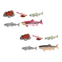 Life Cycle of Salmon Toys Teaching Tools Farm Animals Figurines for Storytelling Presentations Daycare Role Play Birthday Gifts 1