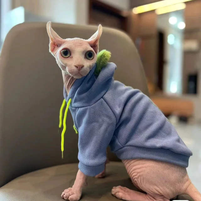 Fashion Blue Hoodie Sweater for Cat 2-legged Winter Coat for Sphynx Warm Sweatshirt for Kittens Soft Loungewear for Devon Rex Fashion Blue Hoodie Sweater for Cat 2-legged Winter Coat for Sphynx Warm Sweatshirt for Kittens Soft Loungewear for Devon Rex