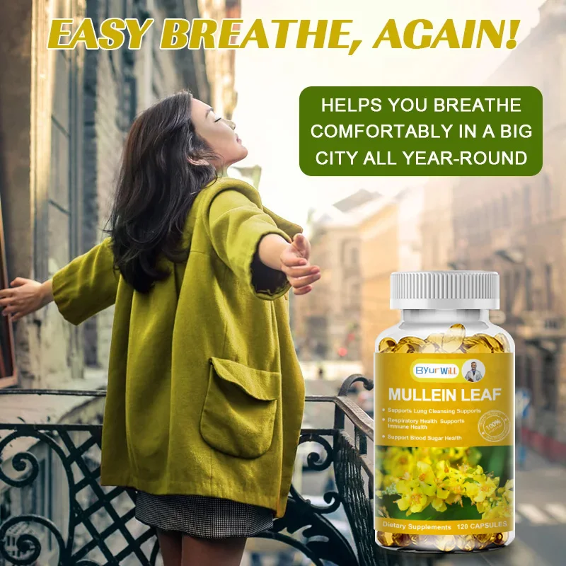 Mullein Leaf Extract Capsules Herbal Respiratory Supplement for Lung Cleanse Support Better Respiratory Immune Function