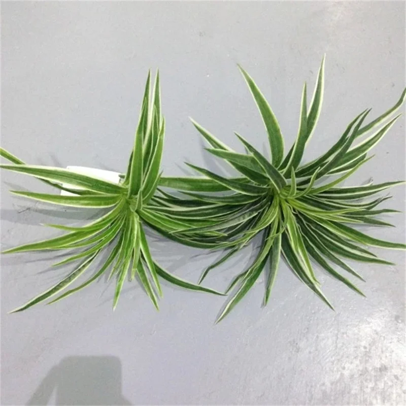 Artificial Chlorophytum Branches - Indoor Decorative Plastic Plants for Home Decor (Pot Not Included)