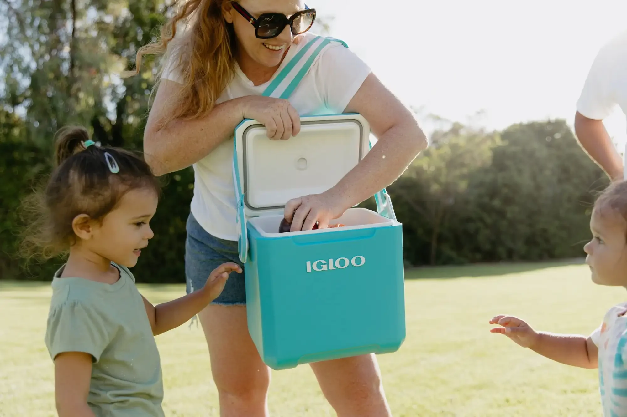 11 Quart Tag Along Too Hard Side Cooler Igloo